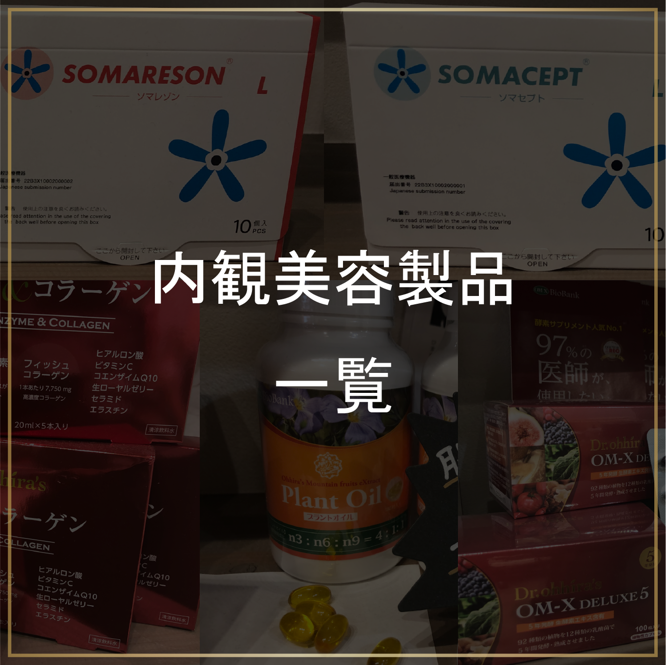 内観美容製品一覧